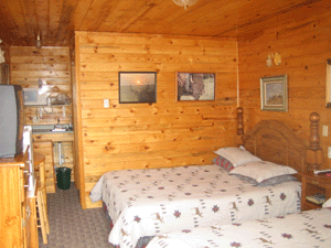 cabin rentals in craig colorado an alternative to hotels in craig colorado for hunting and short terms workers working at tristate or peabody coal mile or trappers mine or colowy mine